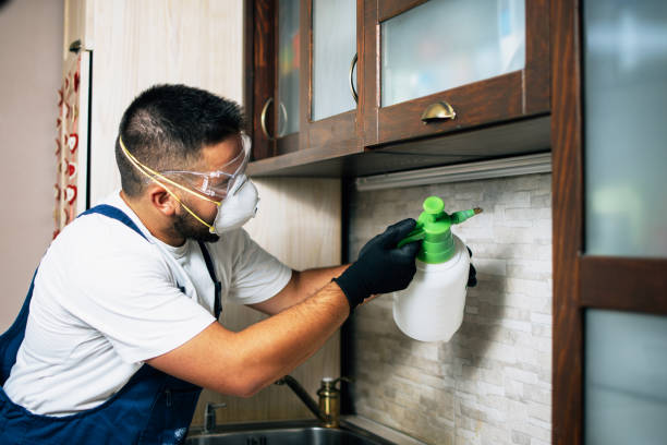 Best Wasp Removal Services  in Point Venture, TX