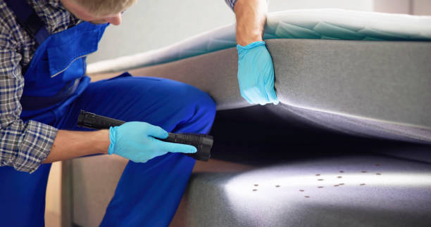 Best Mosquito Control Services  in Point Venture, TX