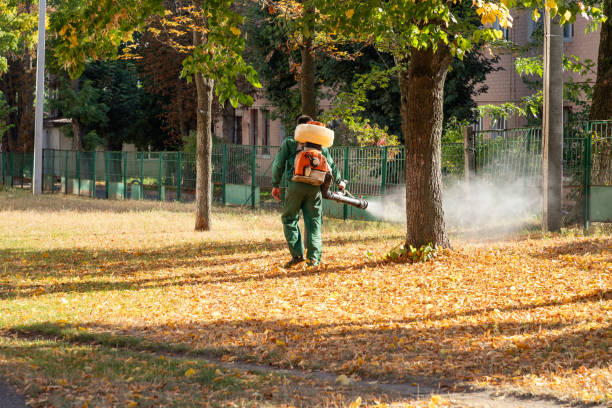 Best Pest Inspection Near Me  in Point Venture, TX